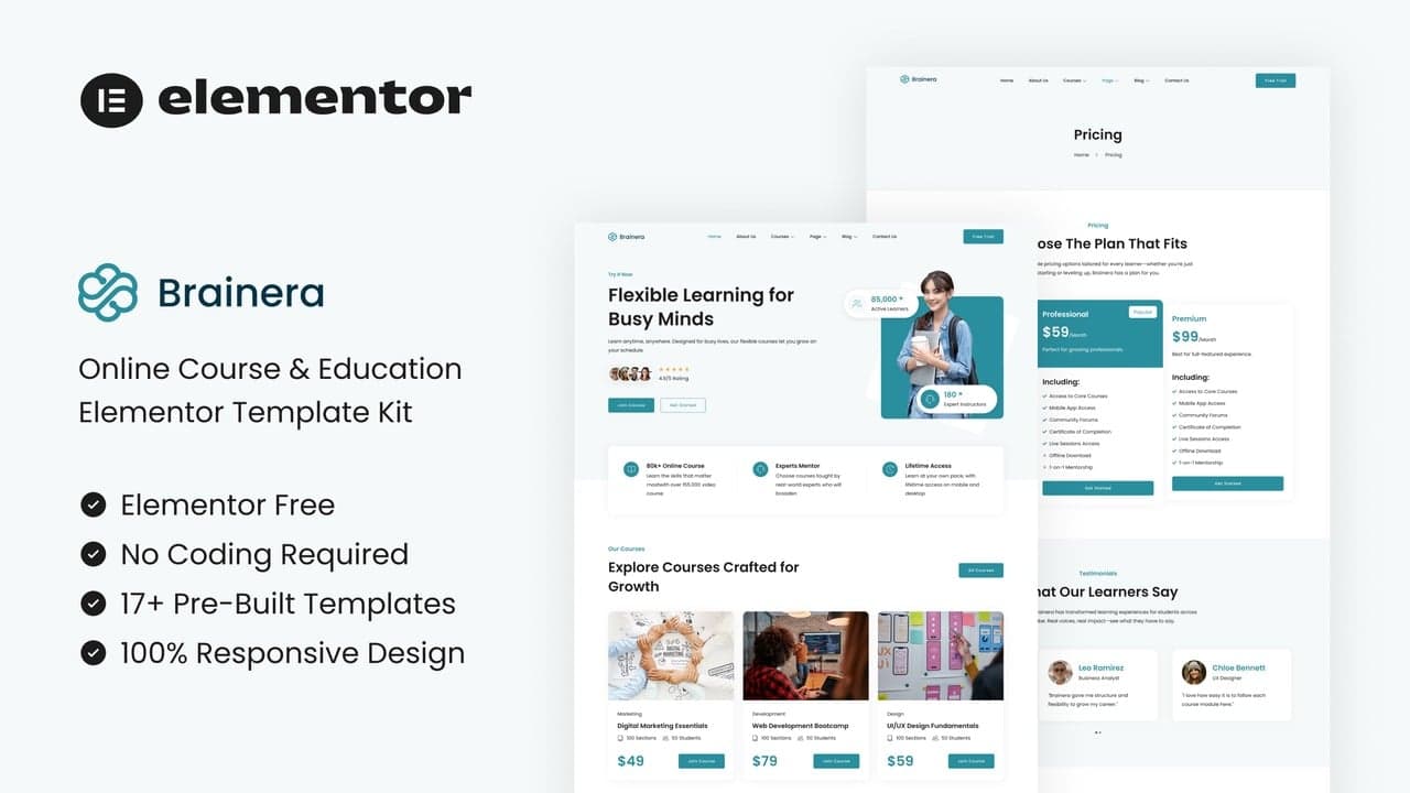 Brainera - Online Course & Education Elementor Template Kit full template preview